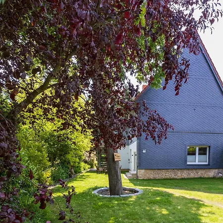 Prázdninový dům Big Family Ellrich