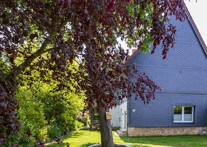 Ferienhaus Big Family Ellrich